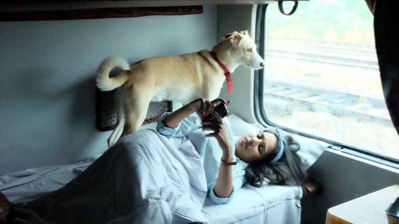 <strong>Train travel: </strong>To travel by train with your dog, you'll need to<strong> </strong>book a four-person cabin or a First Class coupe, which seats two. You'll also have to register the pet at the parcel office at the railway station before departure.  