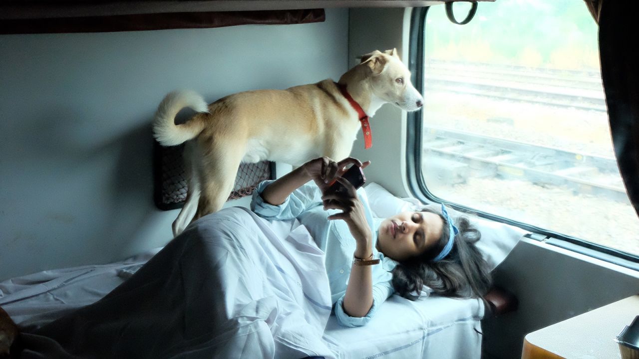 The most convenient way to travel with dogs in India is by train. 