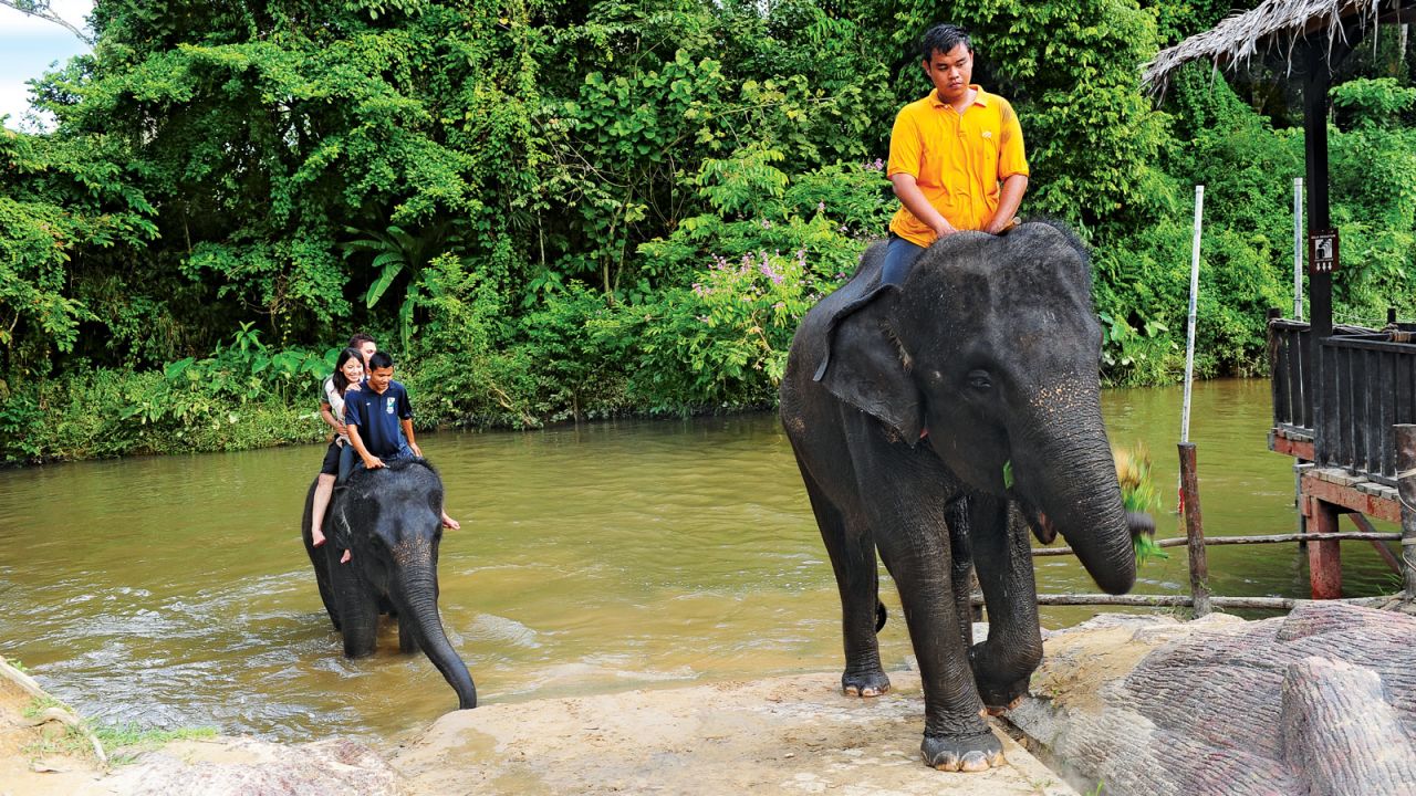 <strong>Kuala Gandah Elephant Sanctuary:</strong> This sanctuary helps track, relocate and care for displaced or orphaned elephants from across Southeast Asia.