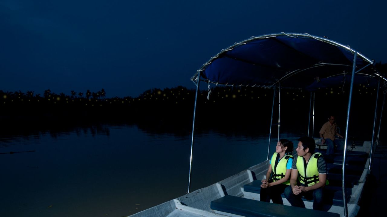 <strong>The fireflies of Kuala Selangor: </strong>Drifting down the Selangor river northwest of KL in a small sampan (flat bottomed boat) as the mangroves throb with the pulsing lights from thousands of fireflies or "kelip-kelips" is a wondrous sight.