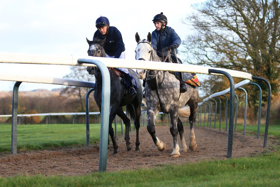 Calder Prince is described by trainer Dascombe as "a lovely horse, a very enthusiastic, very honest and genuine individual who loves being a race horse."