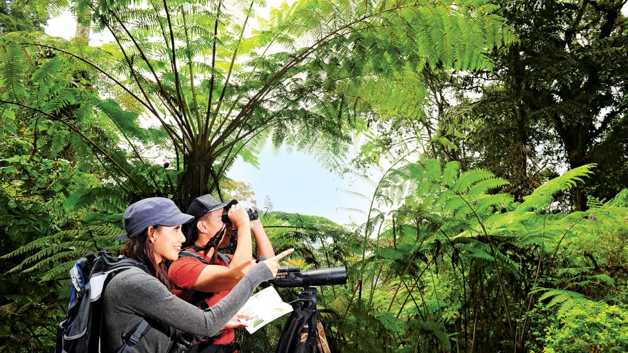 <strong>Fraser's Hill: </strong> Nature trails wind under a tropical canopy that chatters and hums with bird and insect life. The five-kilometer trek out to Jeriau waterfall will give you the chance to bathe in the invigorating pool beneath.