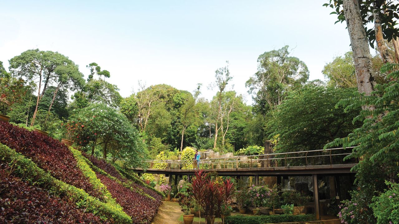 <strong>Malacca:</strong> The Botanical Gardens are set in a natural rainforest with walking trails, a jogging track, a suspension bridge and monkeys.