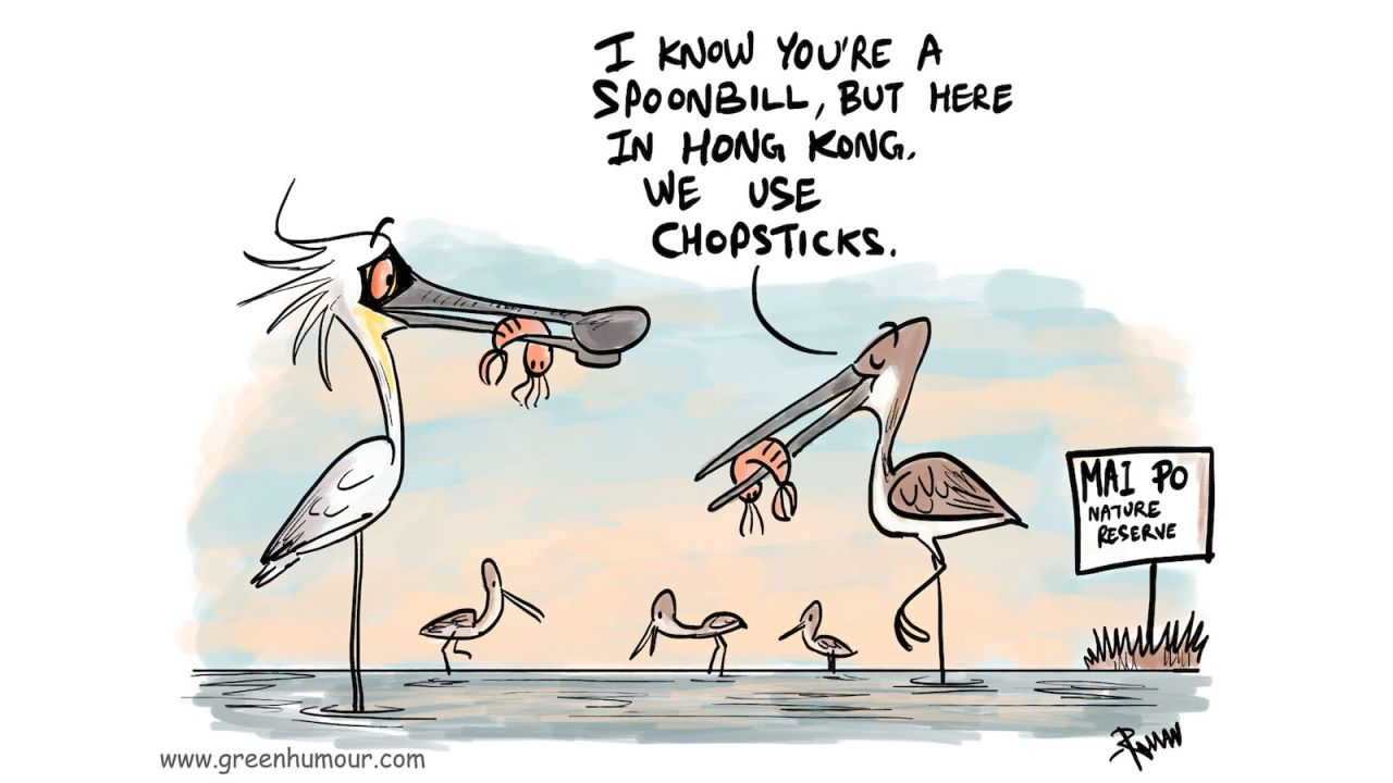 <strong>Giving back:</strong> To create the map, WWF took artist Rohan Chakravarty on a tour of Hong Kong, pointing out animals along the way.  The organization wanted to make sure Hong Kong's "flagship" species were included -- the Chinese white dolphin, the Mai Po firefly and the black-faced spoonbill bird -- and let Rohan choose the rest. 