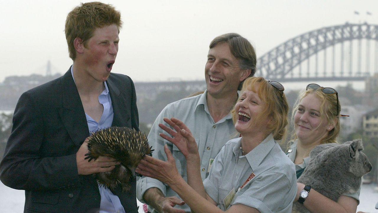 Harry holds an echidna at Sydney's Taronga Zoo in 2003.