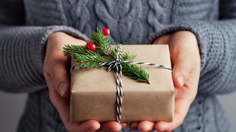 Woman hands holding christmas gift or present box decorated fir tree. Cozy winter shot.