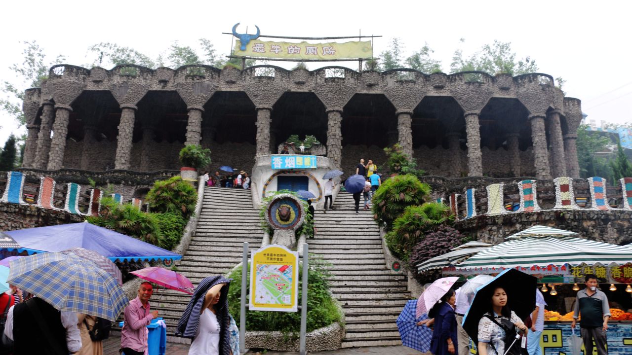 <strong>Castle-themed toilet: </strong>"If we are able to make toilets fashionable, just like a cell phone, a TV, or a dream, we can change the toilet culture of China," says Bai Lin, China project manager for the World Toilet Organization.