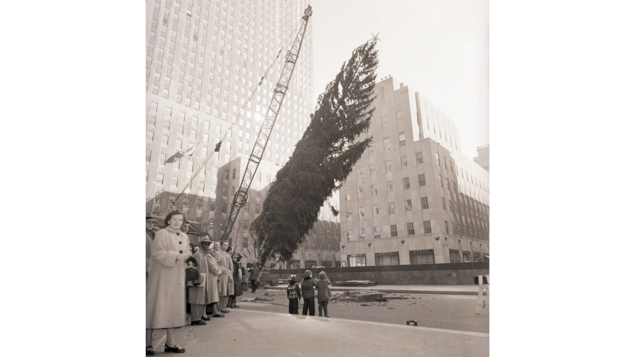 <strong>1952:</strong> An 85-foot Norway spruce is jockeyed into position under the watchful eyes of a trio of interested youngsters.