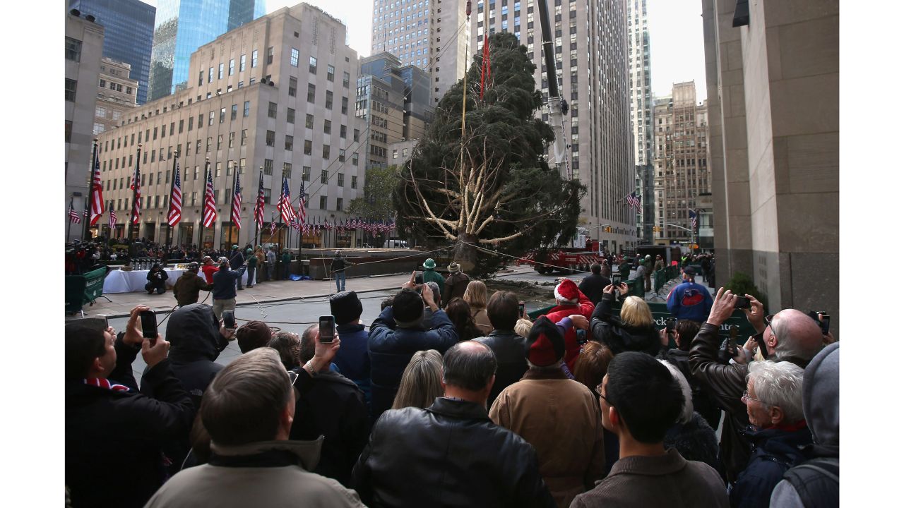 <strong>2012:</strong> Folks watch as an 80-year-old Norway spruce is raised into position.