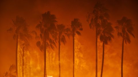 Palm trees burn in Ventura on December 5.