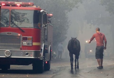 A man tries to catch a horse that got loose in the Lake View Terrace area of Los Angeles on December 5.
