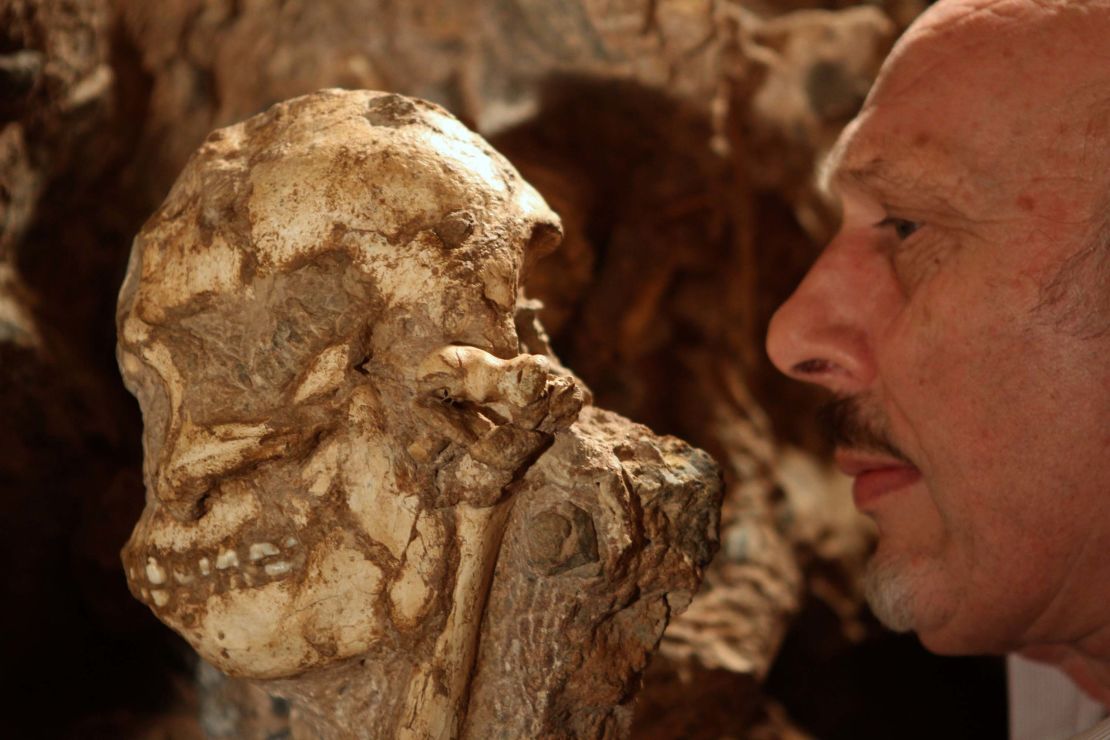 Professor Ron Clarke worked on excavating the Little Foot fossil for 20 years.