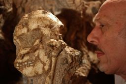 Ron Clarke with the Little Foot skeleton, which he has been working on since 1995