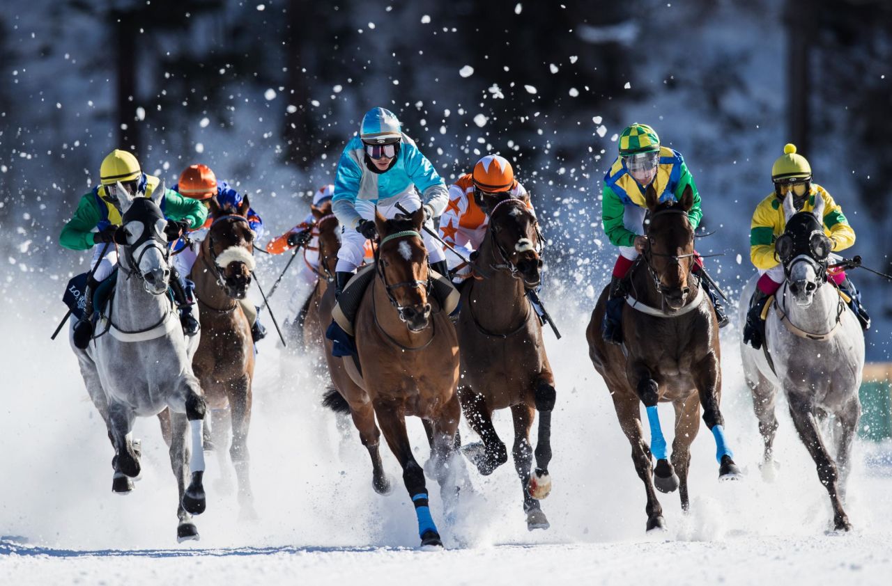 <strong>White Turf: </strong>The annual White Turf horse races are a mainstay of the social calendar with a variety of events from flat racing and trotting to skijoring, where a skier is towed behind a galloping horse. 