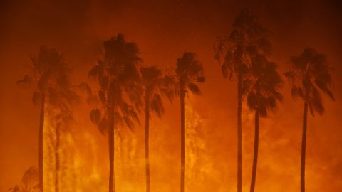 Smoke blows out of the burning palm trees as brush fire threatens homes in Ventura, California.