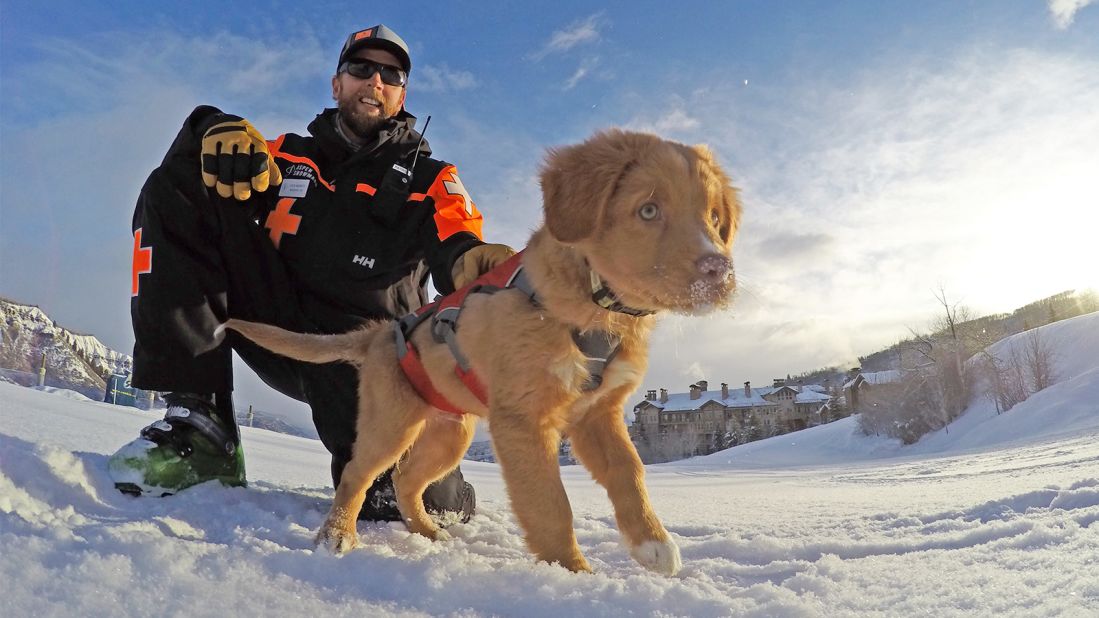 Beneath the snow: Training for avalanche rescue dogs in Colorado