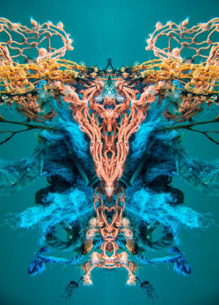A tangled fishing net creates this image, called Structuralism. 