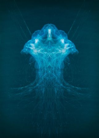 Besides debris, Gilchrist makes beautiful images of sea life. In this picture, a jellyfish is illuminated by the by the ocean light