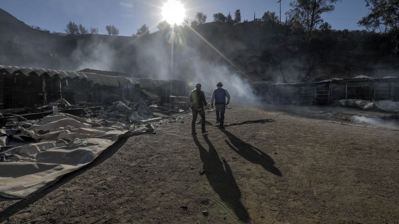 Virginia Padilla, left, and her brother Jaime Padilla assess their  ranch after 29 horses perished.