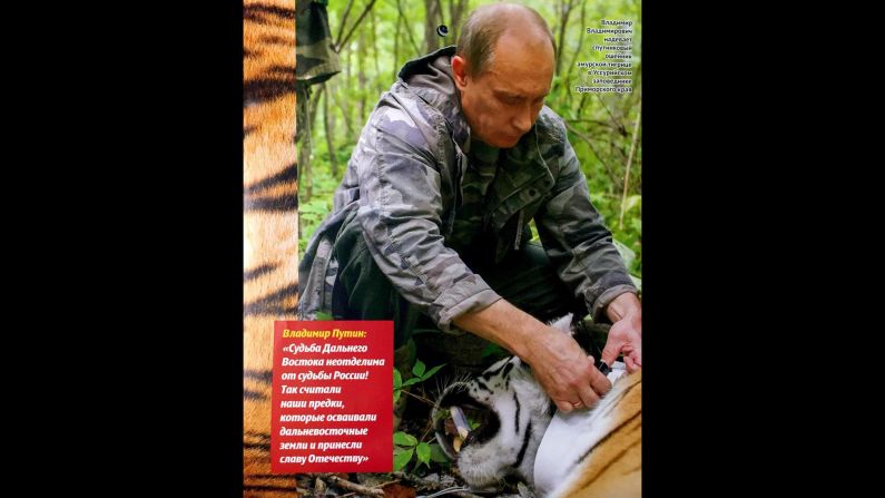 Putin checks the collar on a tiger: "The fate of the far east is inseparable from the fate of Russia, so said our forefathers who mastered the far Eastern lands and brought glory to the Fatherland."