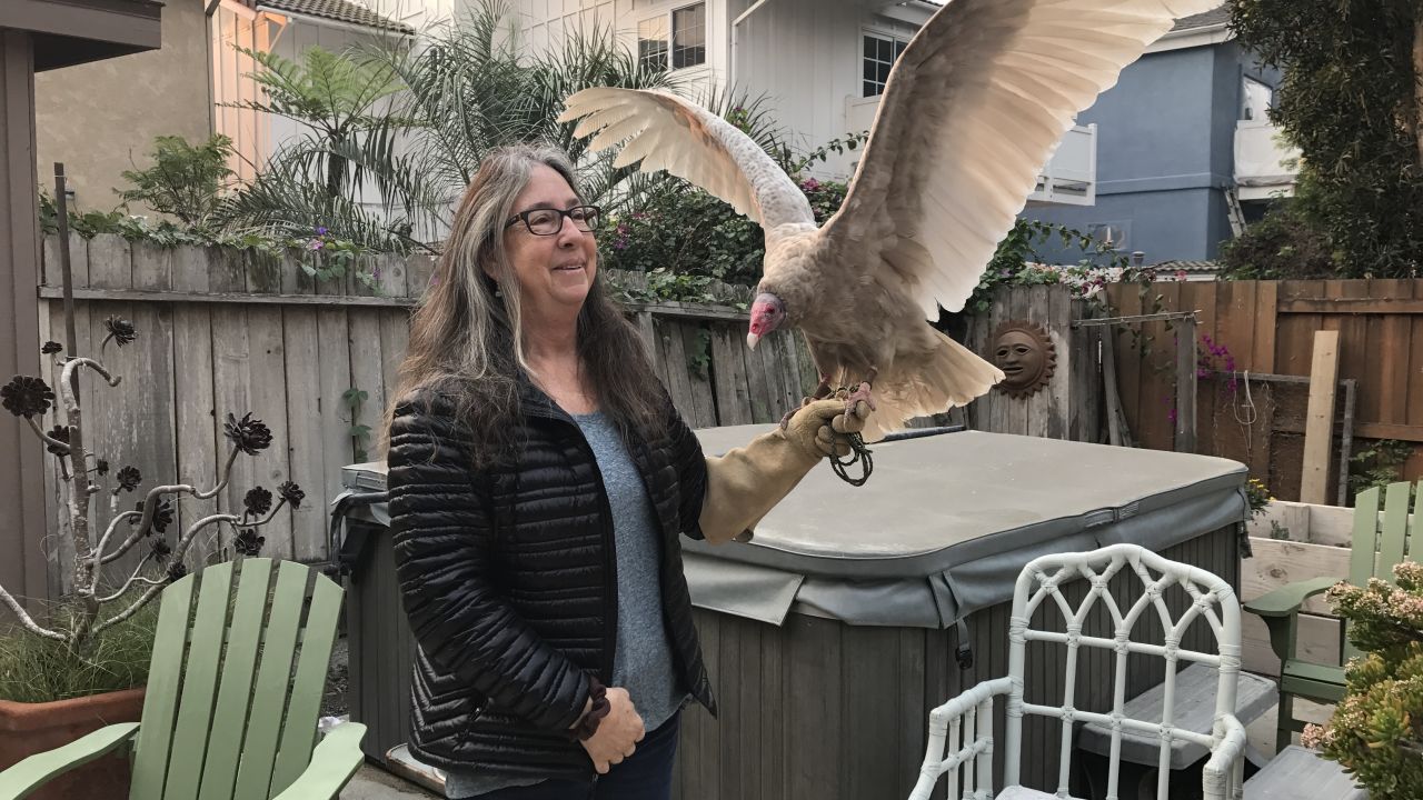 Kimberly Stroud, head of the Ojai Raptor Center, holds Wonder the turkey vulture after the evacuation.
