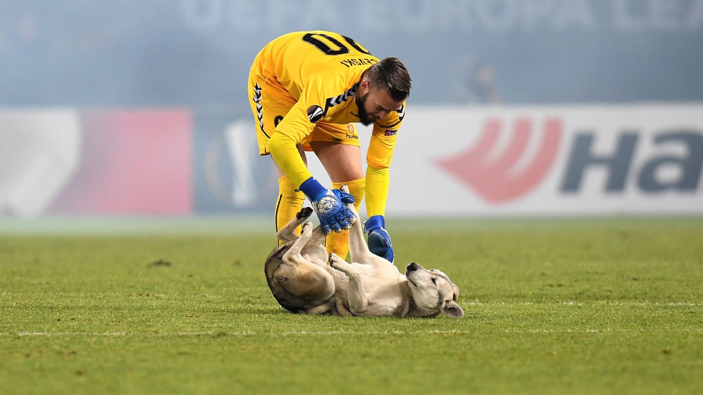 Vardar goalkeeper Filip Gachevski corrals a dog that ran onto the field during a Europa League match in Skopje, Macedonia, on Thursday, December 7.