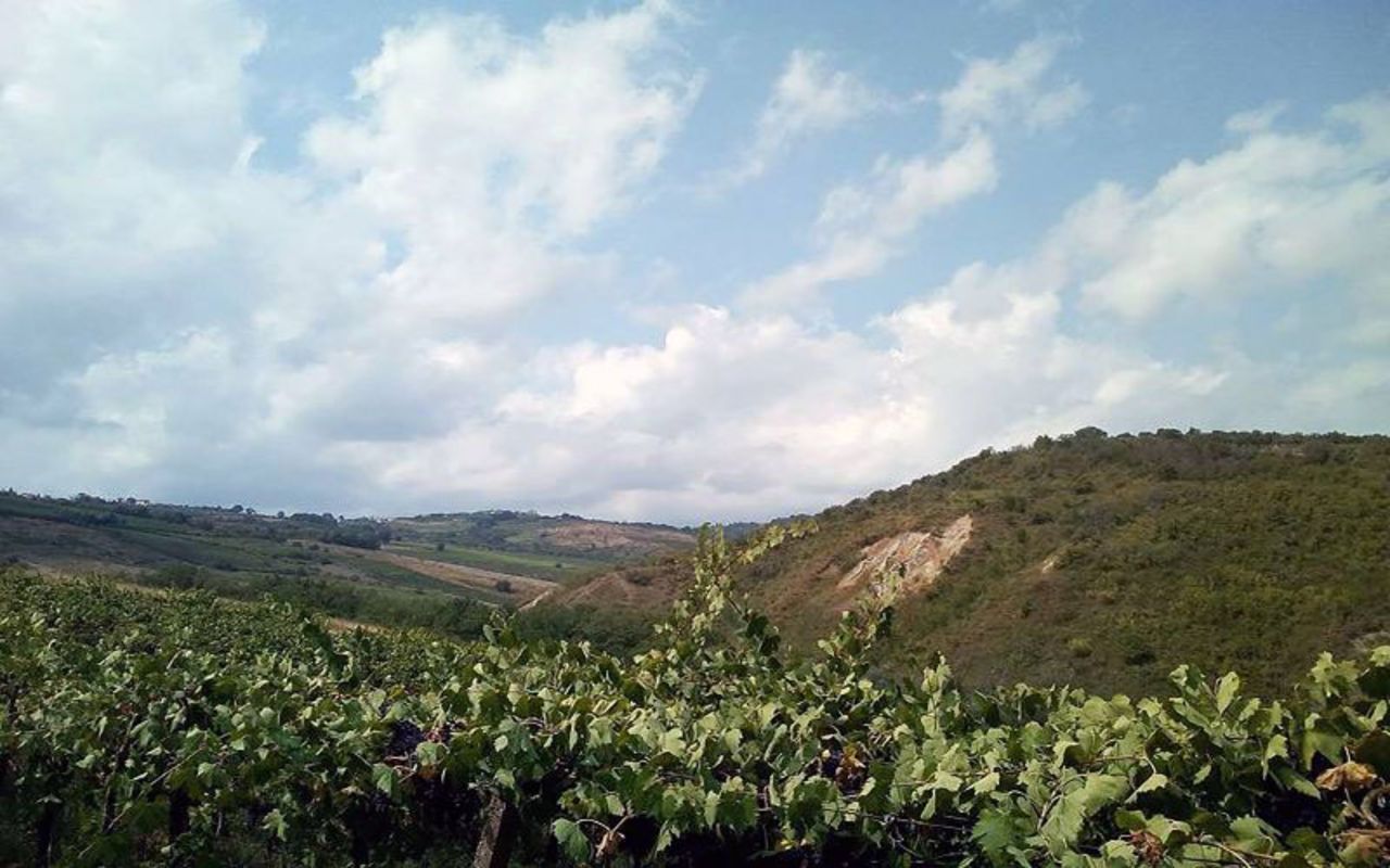 The region is known for its Montepulciano d'Abruzzo wine, which is produced with the Montepulciano grape.