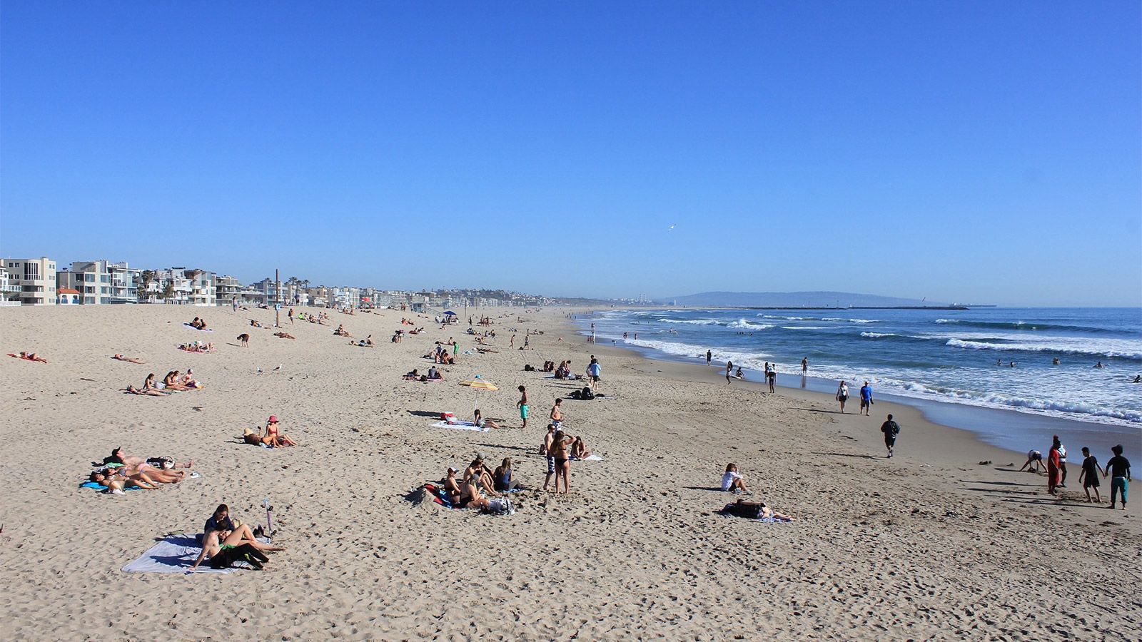 are dogs allowed on the beach or venice boardwalk