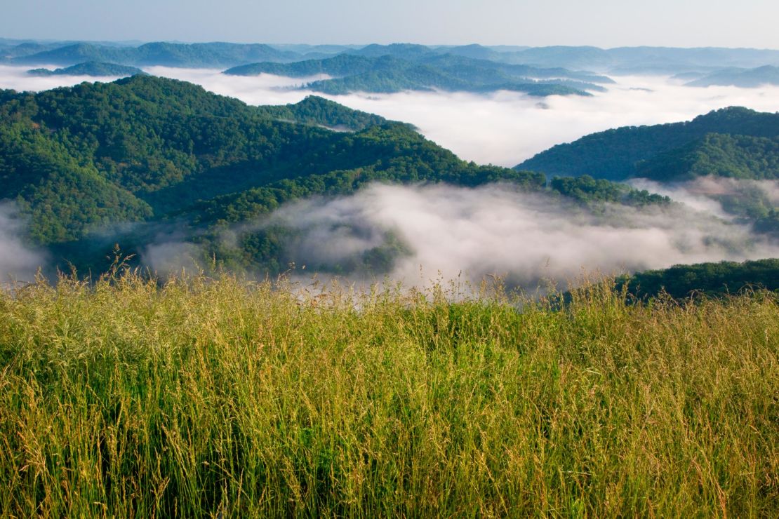 Nestled in the hills of Central Appalachia, Kentuckians are fighting for their communities.
