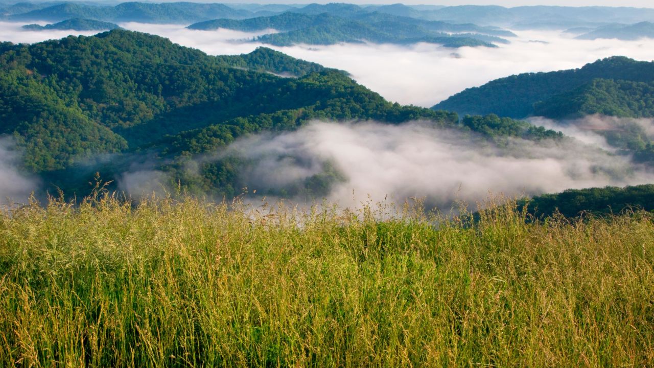 Nestled in the hills of Central Appalachia, Kentuckians are fighting for their communities. 
