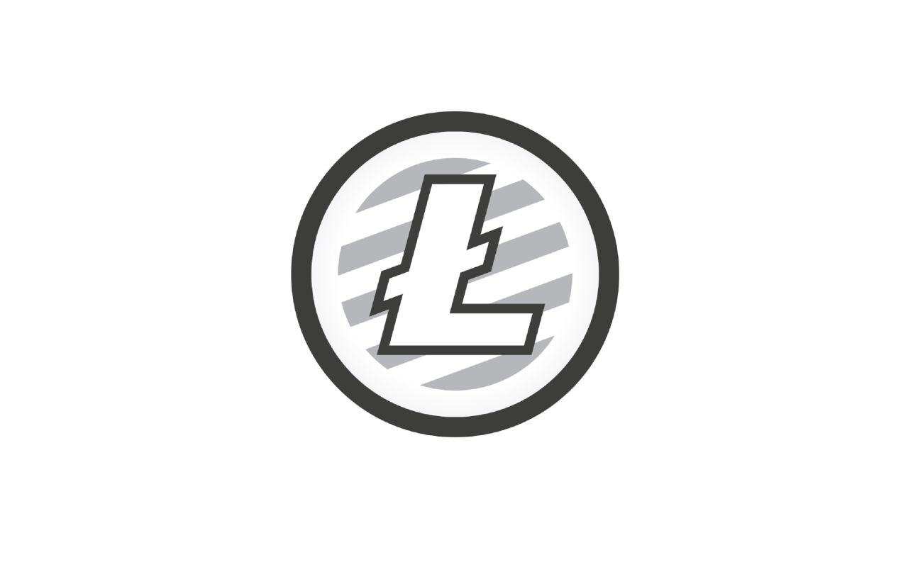 A cryptocurrency based on similar technology to Bitcoin, Litecoin has also rapidly increased in value. It was introduced in 2011 and has risen more this year in percentage increase than Bitcoin.