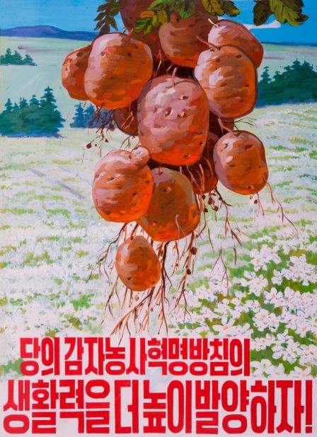 The posters often celebrate and promote policies devised by the ruling Workers' Party of Korea.