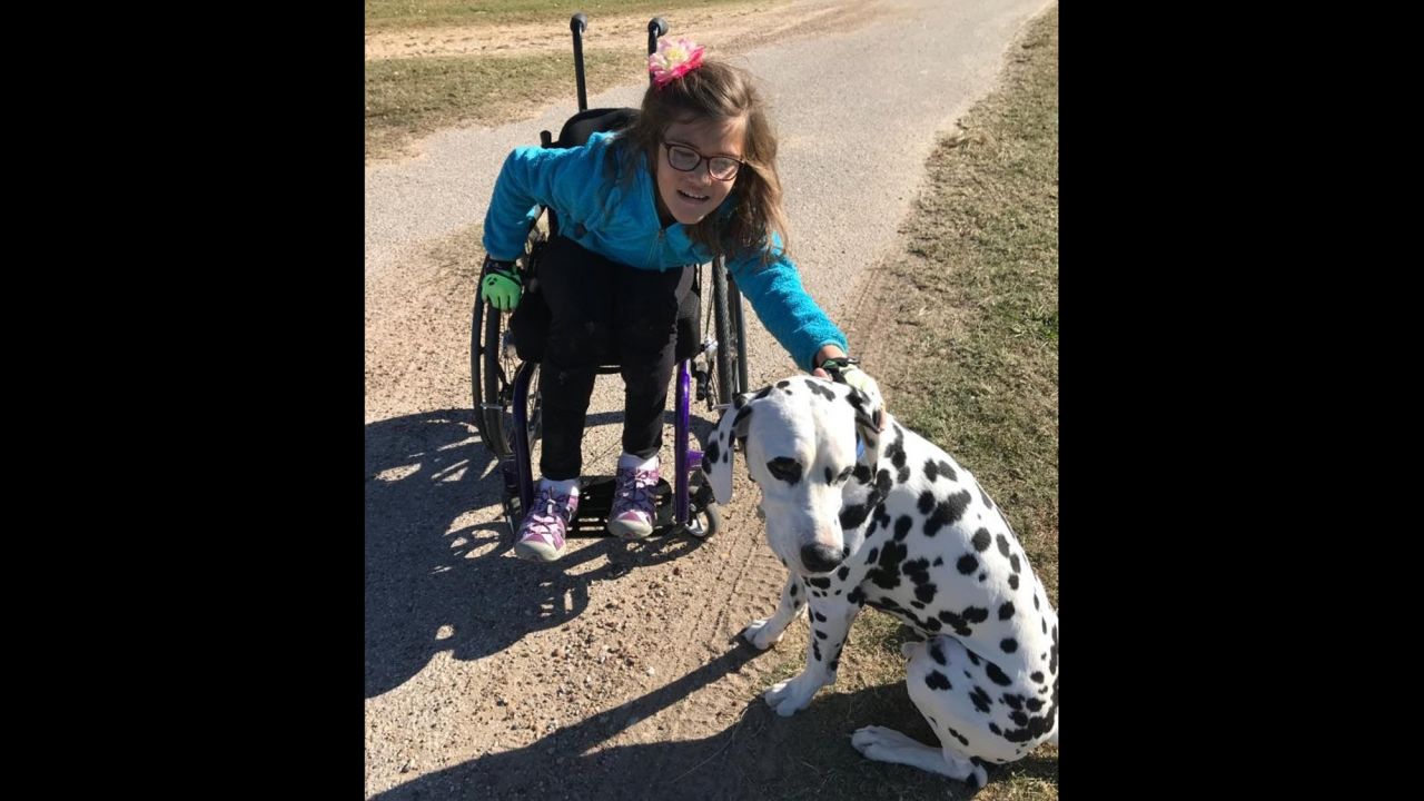 Avery's parents said she absolutely loves dogs and isn't shy about approaching strangers and motioning at their pets. It's her way of asking whether she can pet them.