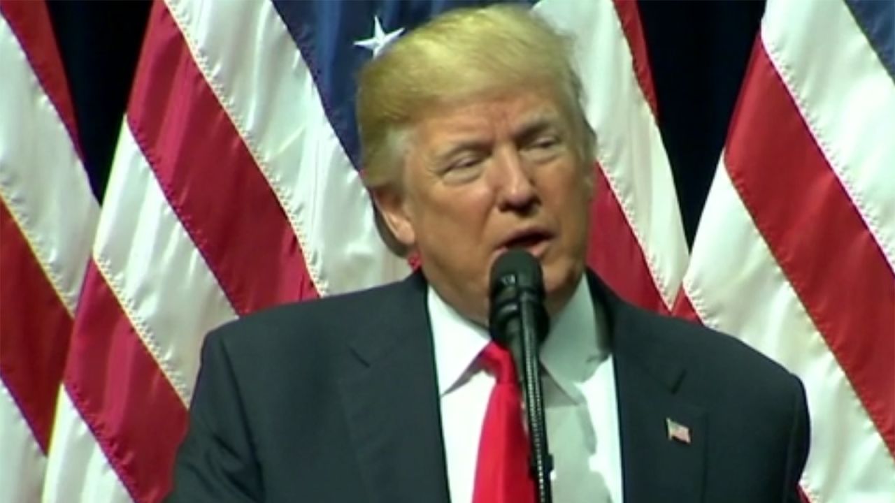 02 Trump screengrab 1215