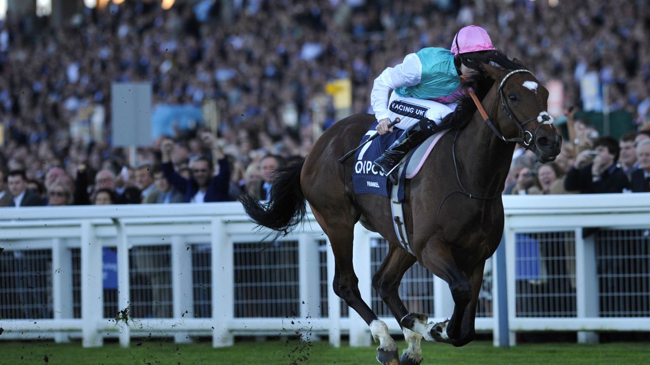 One of the greats -- Frankel wins the Queen Elizabeth II Stakes at Ascot in 2011.