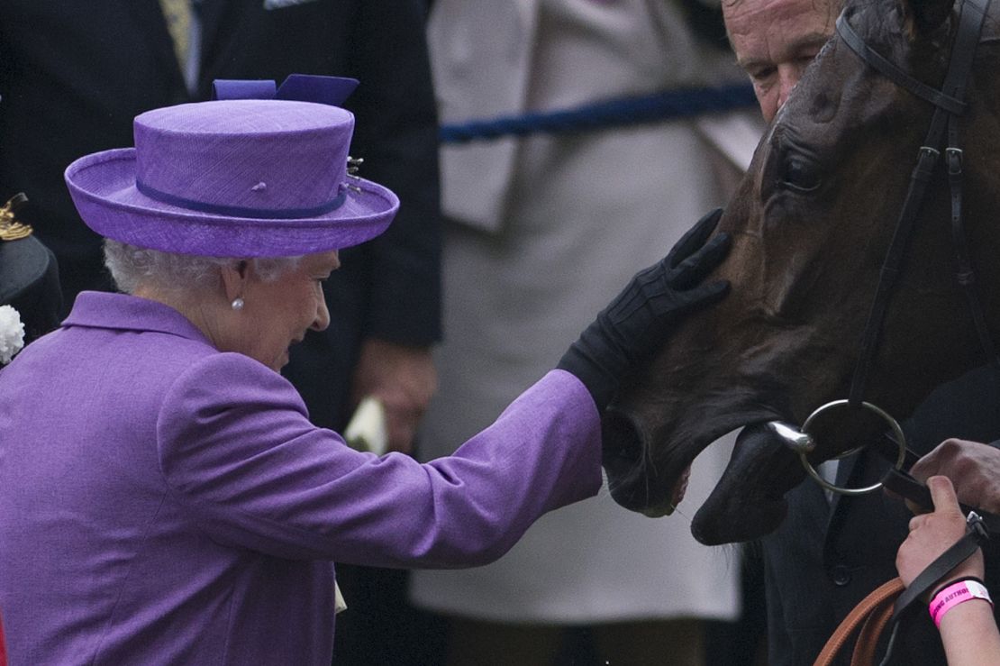The Queen with her horse, Estimate, who won the 2013 Gold Cup at Royal Ascot.