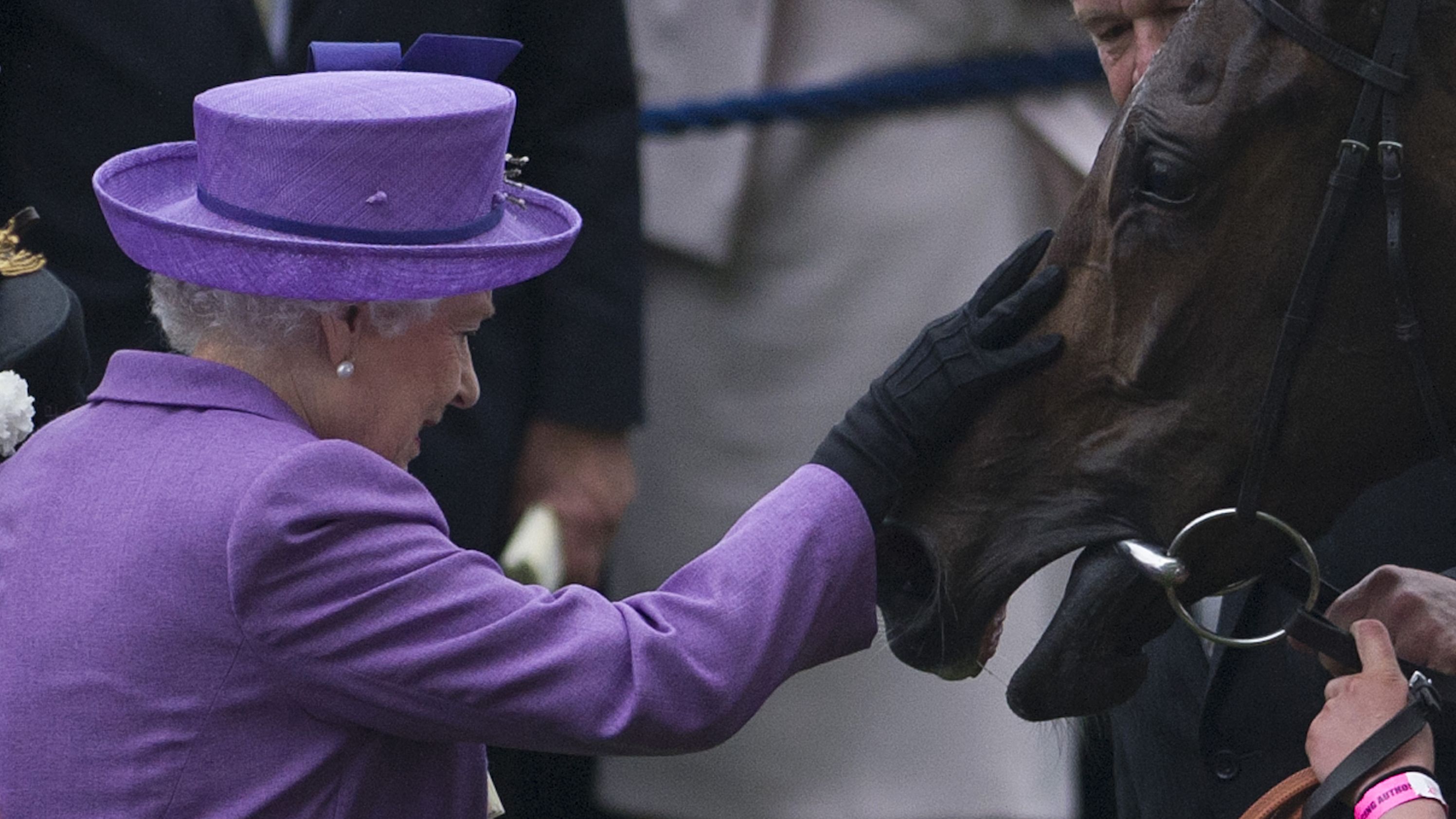 The Queen with her horse, Estimate, who won the 2013 Gold Cup at Royal Ascot.