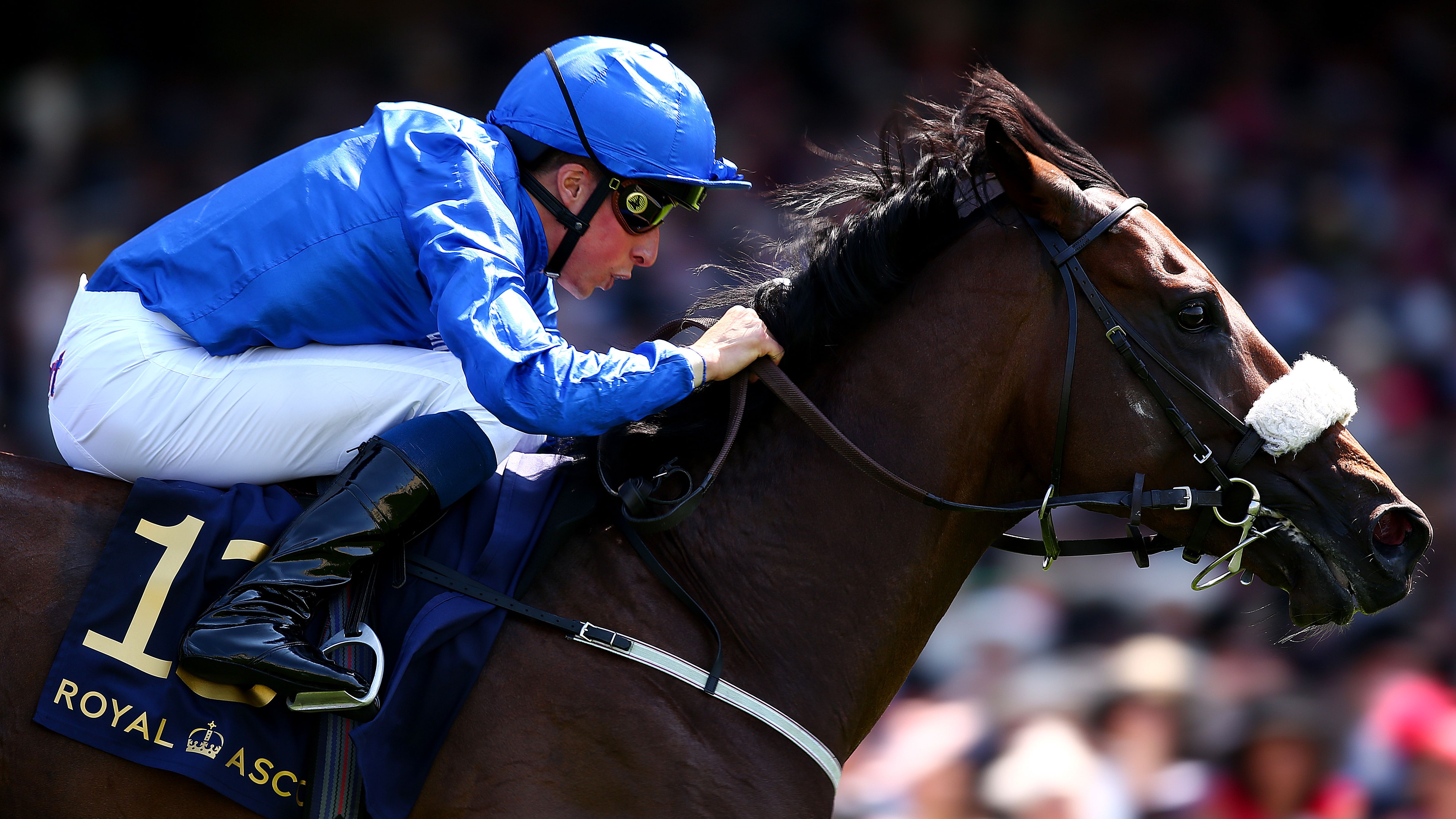 Godolphin's Ribchester won the Queen Anne Stakes at Royal Ascot in 2017.