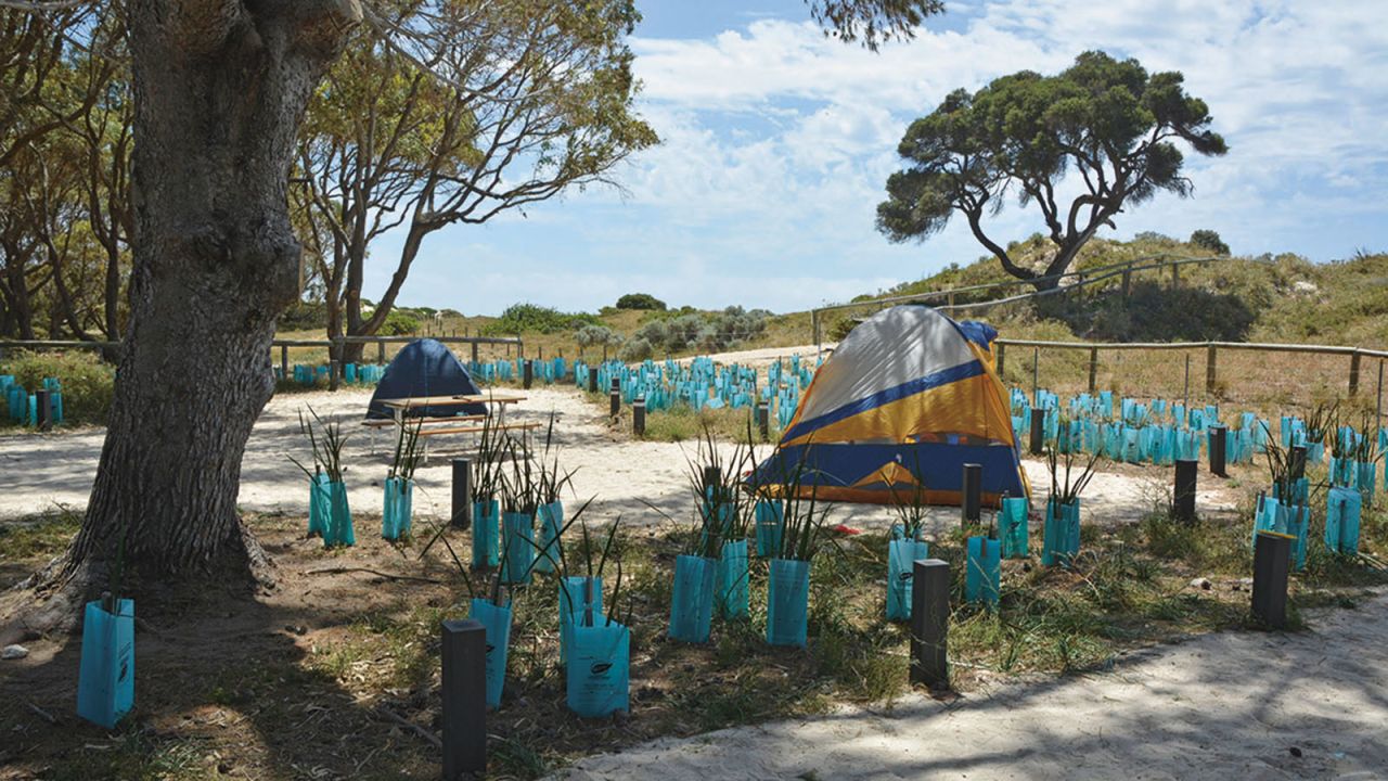 <strong>The Campground: </strong>The Campground offers the most basic and affordable accommodation on the island. There's a shared camp kitchen and separate free standing BBQs.