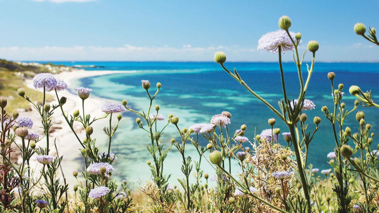 <strong>Rottnest: </strong>A 25-minute ferry ride from the Western Australia port town of Fremantle lies the idyllic, family-friendly Rottnest Island, affectionately called "Rotto" by the locals.
