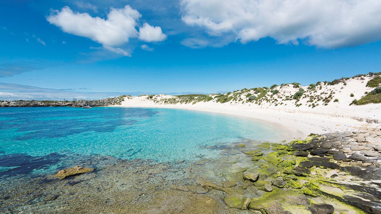 <strong>Parakeet Bay:</strong> Popular snorkel spots include The Basin, Parakeet Bay, Parker Point, Little Salmon Bay (also known for its Bottlenose dolphins, which feed and surf here) and Little Armstrong Bay.