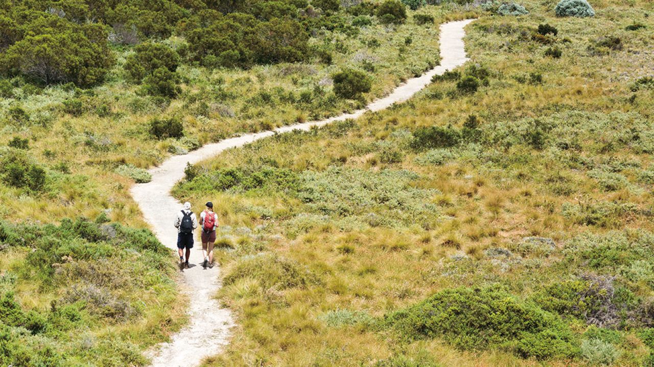 <strong>Wadjemup Bidi trail: </strong>Accessible for hikers of all levels, Wadjemup Bidi trail system is made up of 45 kilometers of trails split into five sections.