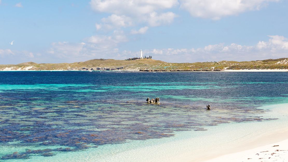 There are 13 different shipwreck sites to explore.