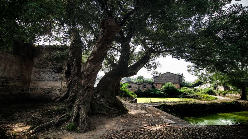 The village homes in eastern China's Jiangxi province were between 300 and 500 years old.  