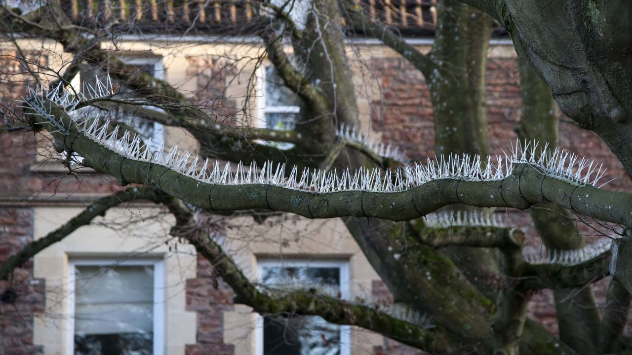 01 hostile architecture Bristol pigeon spikes RESTRICTED