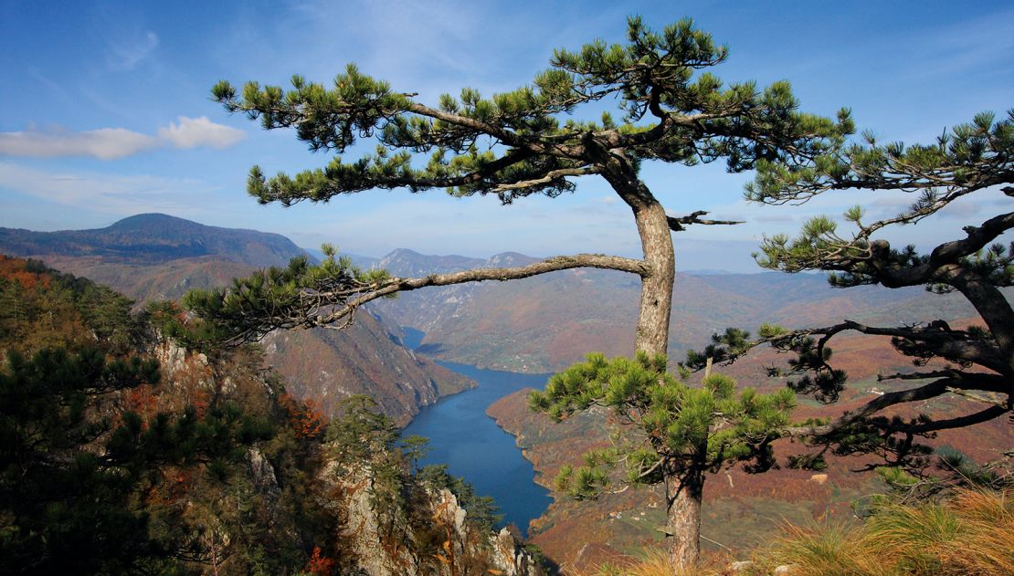 Serbia's Tara National Park is home to deep gorges and forested slopes.