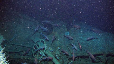 The submarine has been described as "remarkably well preserved."