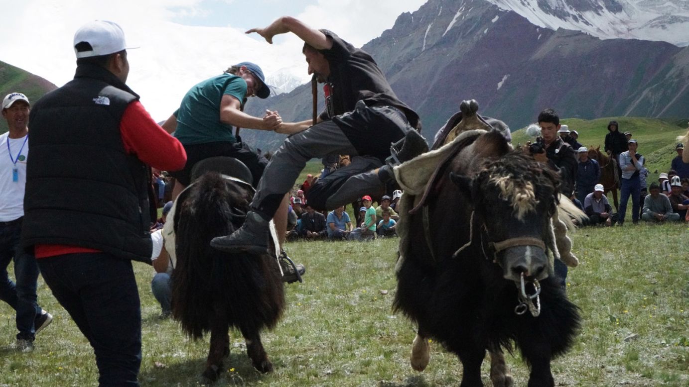 <strong>The National Horse and Yak Games Festival:</strong> The annual National Horse and Yak Games Festival showcases Kyrgyzstan's traditional nomadic lifestyle.<strong> </strong>Two foreign participants have a try at yak-wrestling. The objective is to wrestle opponents off their yak without falling off. 