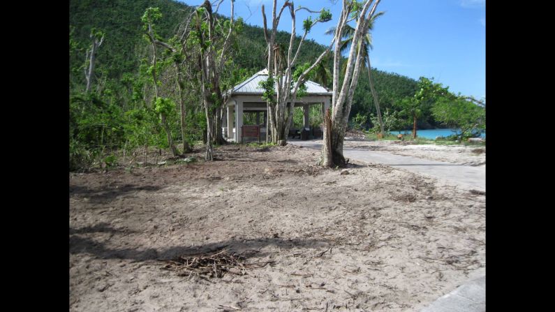 Trunk Bay has also reopened, although it will take time for nature to repair the damage. The storms moved markers on its renowned underwater snorkeling travel but did not destroy them. 