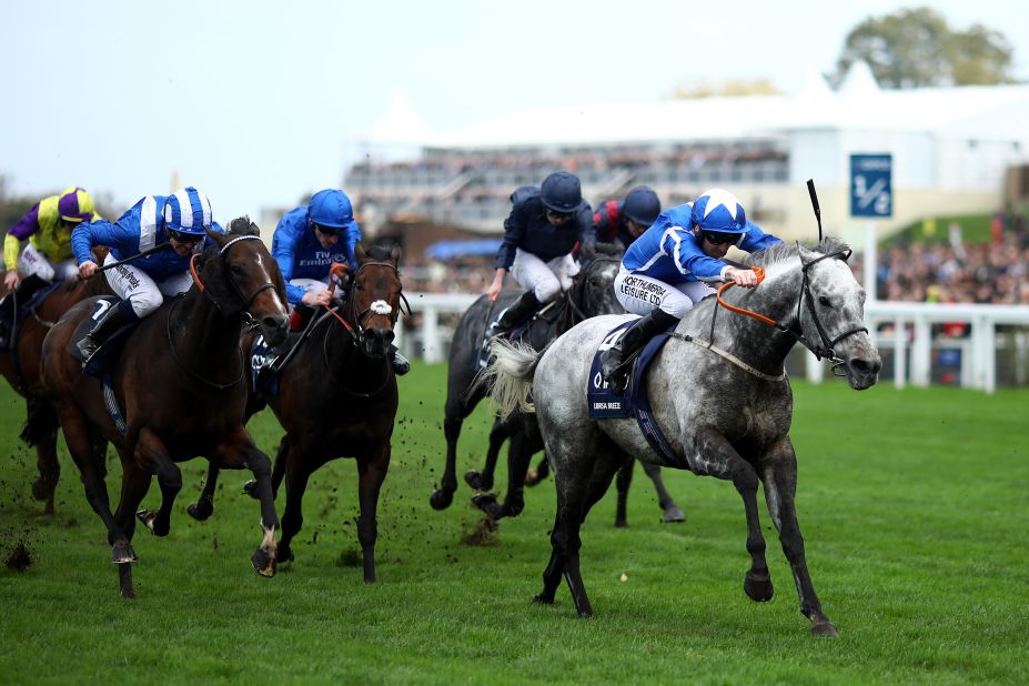 It was Robert Winston aboard Librisa Breeze that triumphed in the the QIPCO British Champions Sprint Stakes, also held at Ascot in October.